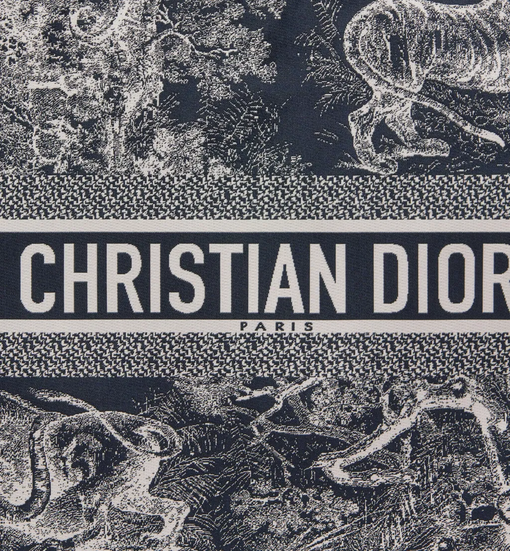 Diortravel Zipped Pouch