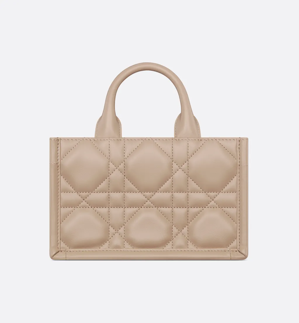 Mini Dior Book Tote
