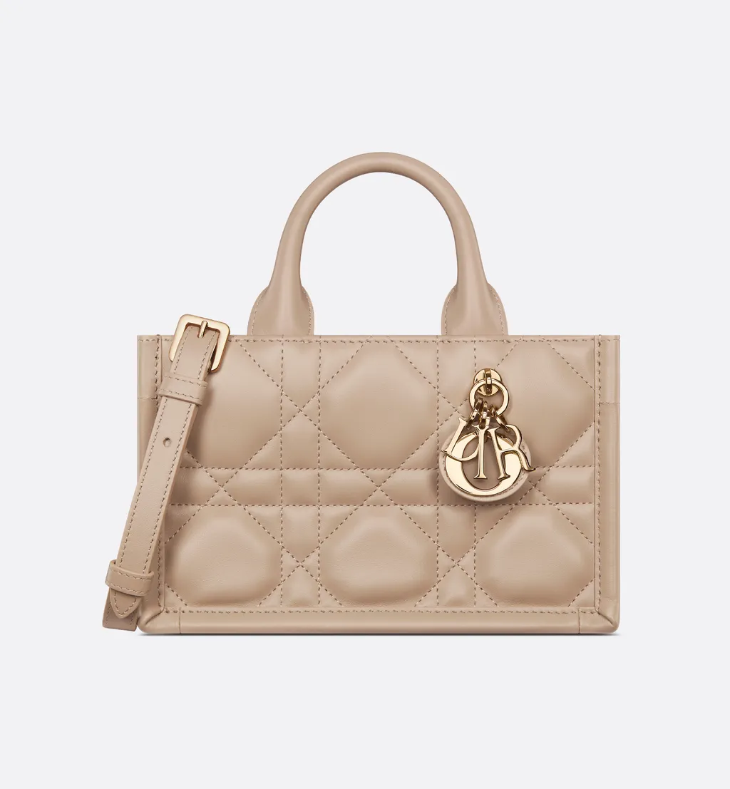 Mini Dior Book Tote