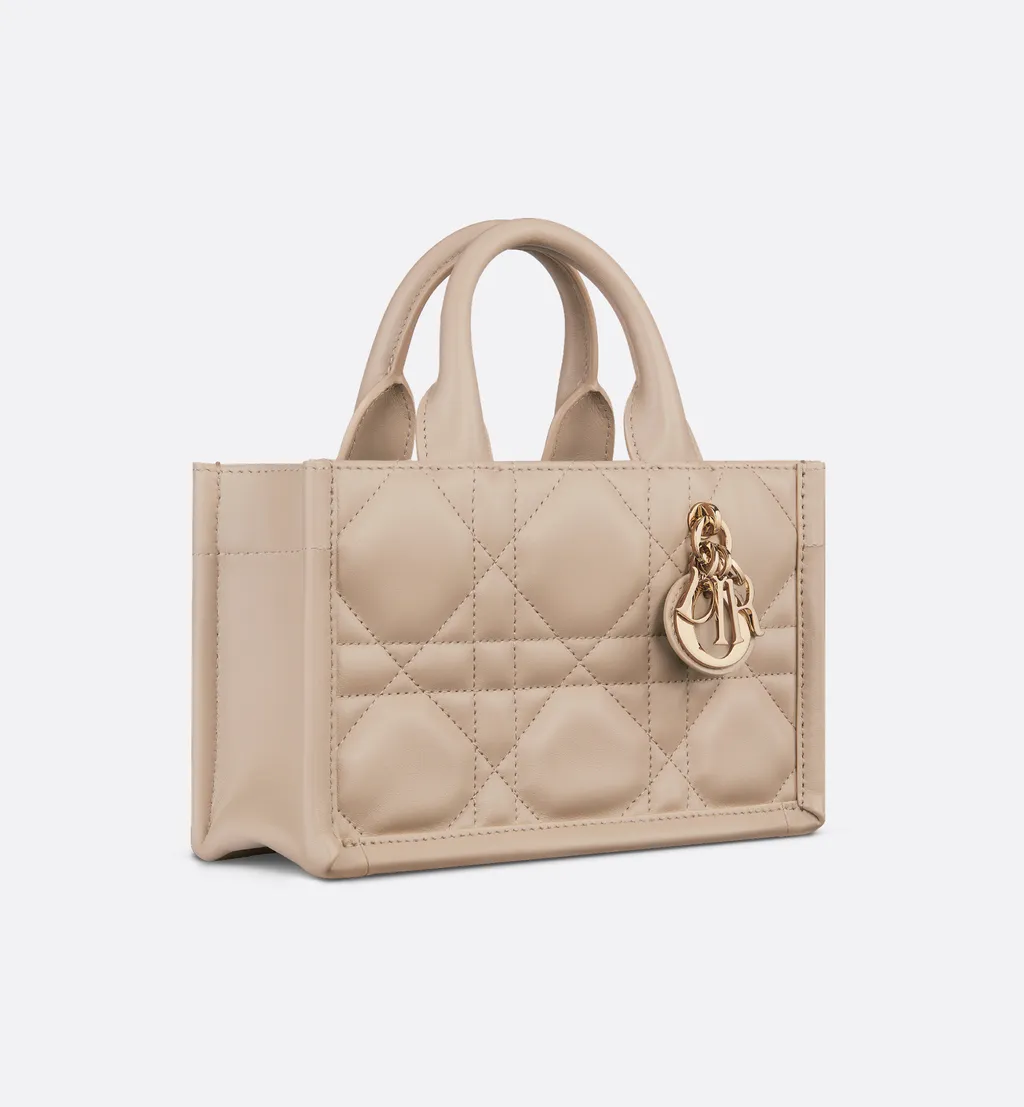 Mini Dior Book Tote