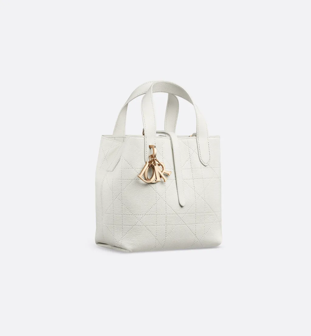 Small Dior Toujours Vertical Tote Bag