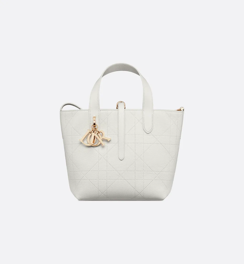 Small Dior Toujours Vertical Tote Bag