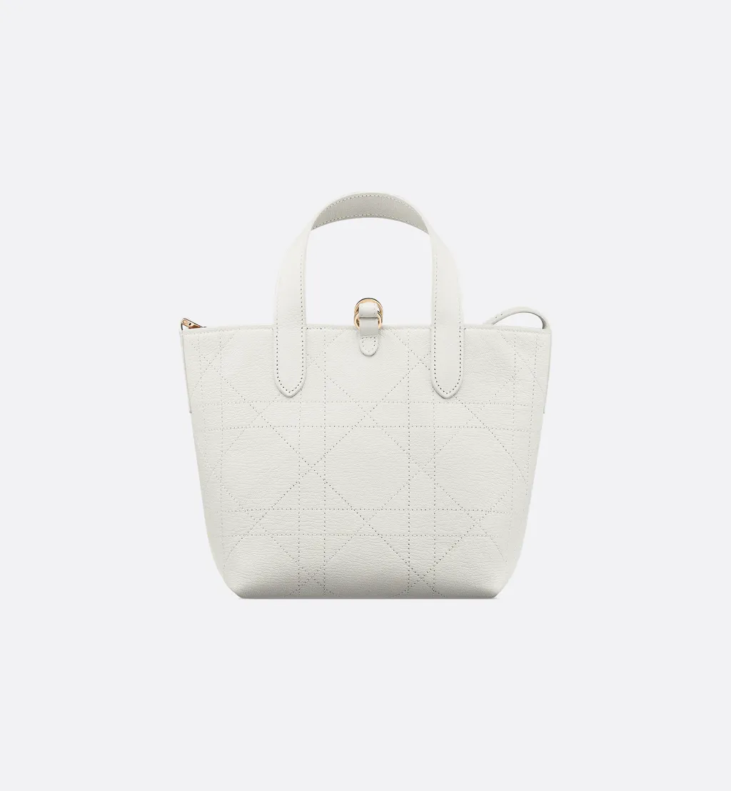Small Dior Toujours Vertical Tote Bag