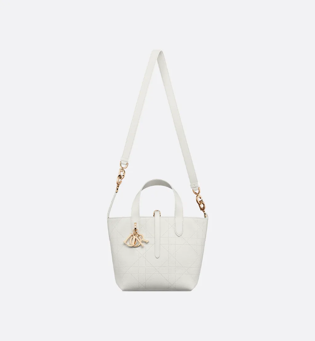Small Dior Toujours Vertical Tote Bag