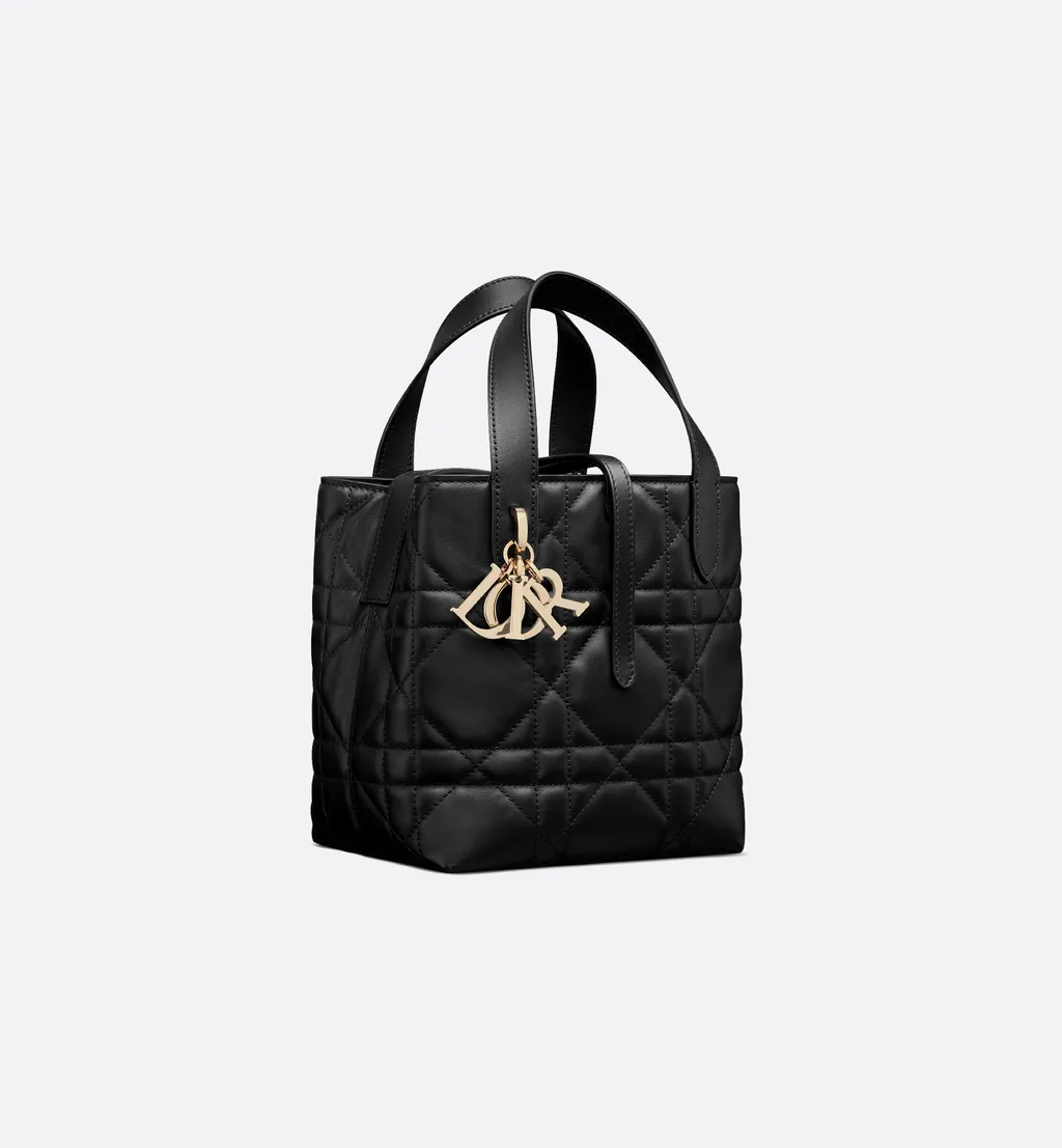 Small Dior Toujours Vertical Tote Bag