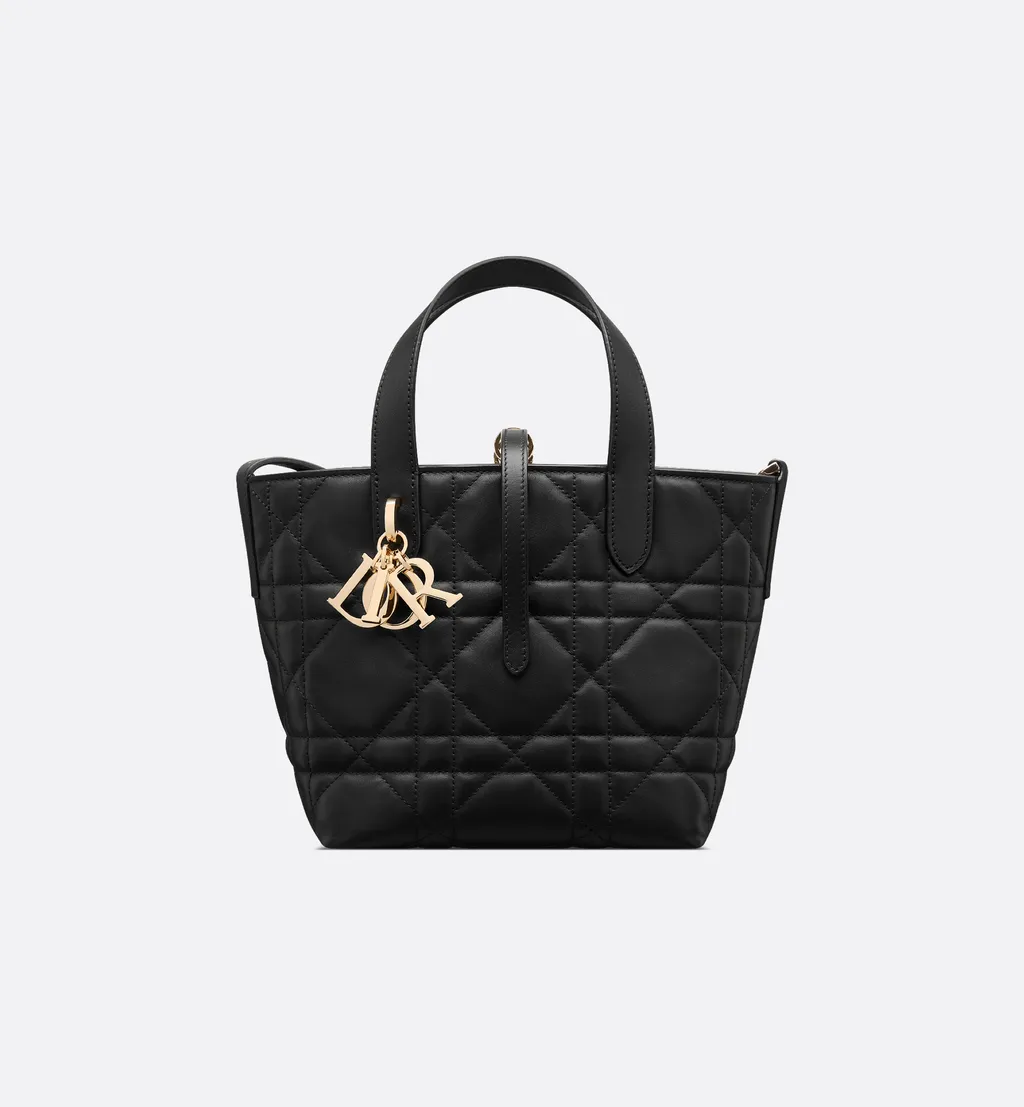 Small Dior Toujours Vertical Tote Bag
