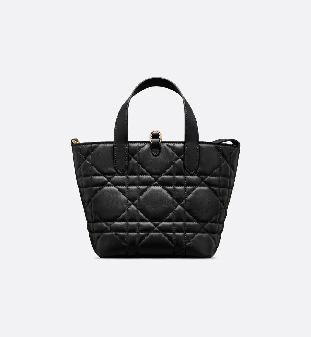 Small Dior Toujours Vertical Tote Bag