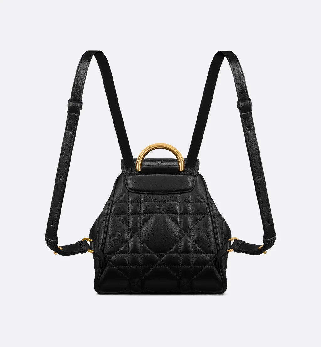 Small Dior Caro Backpack