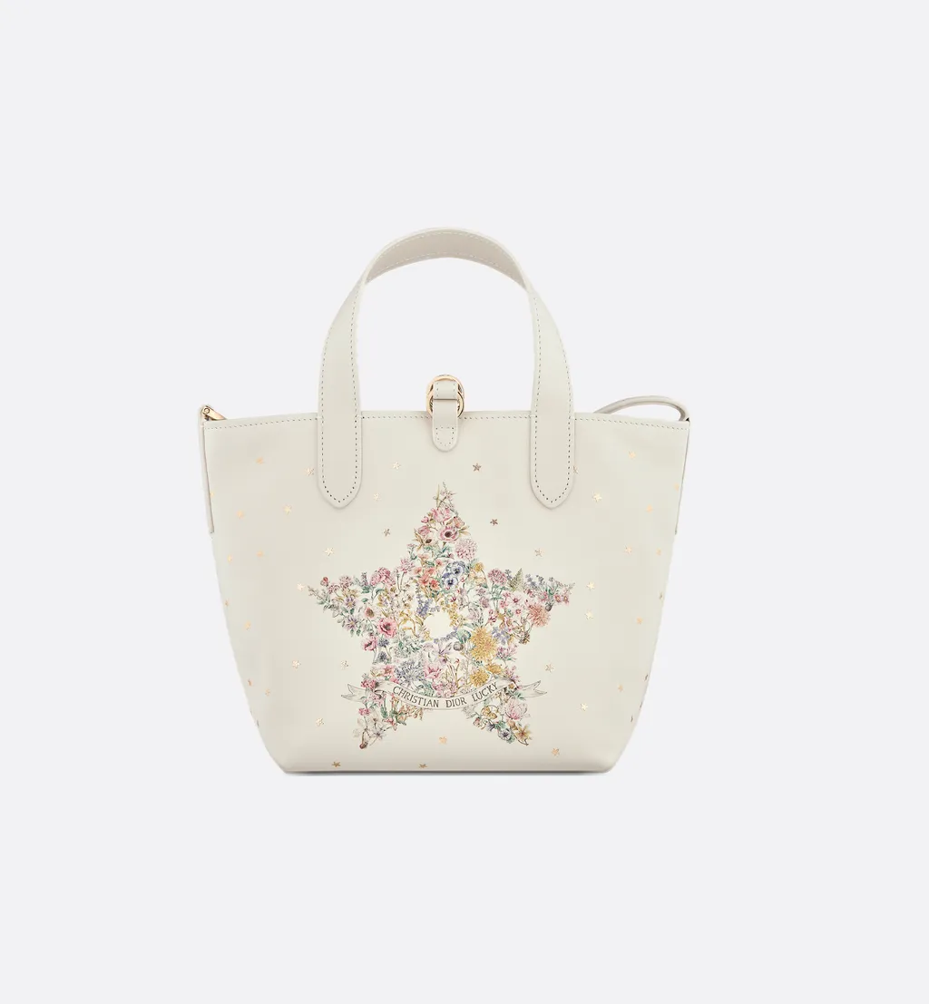 Dior Lucky Small Dior Toujours Vertical Tote Bag