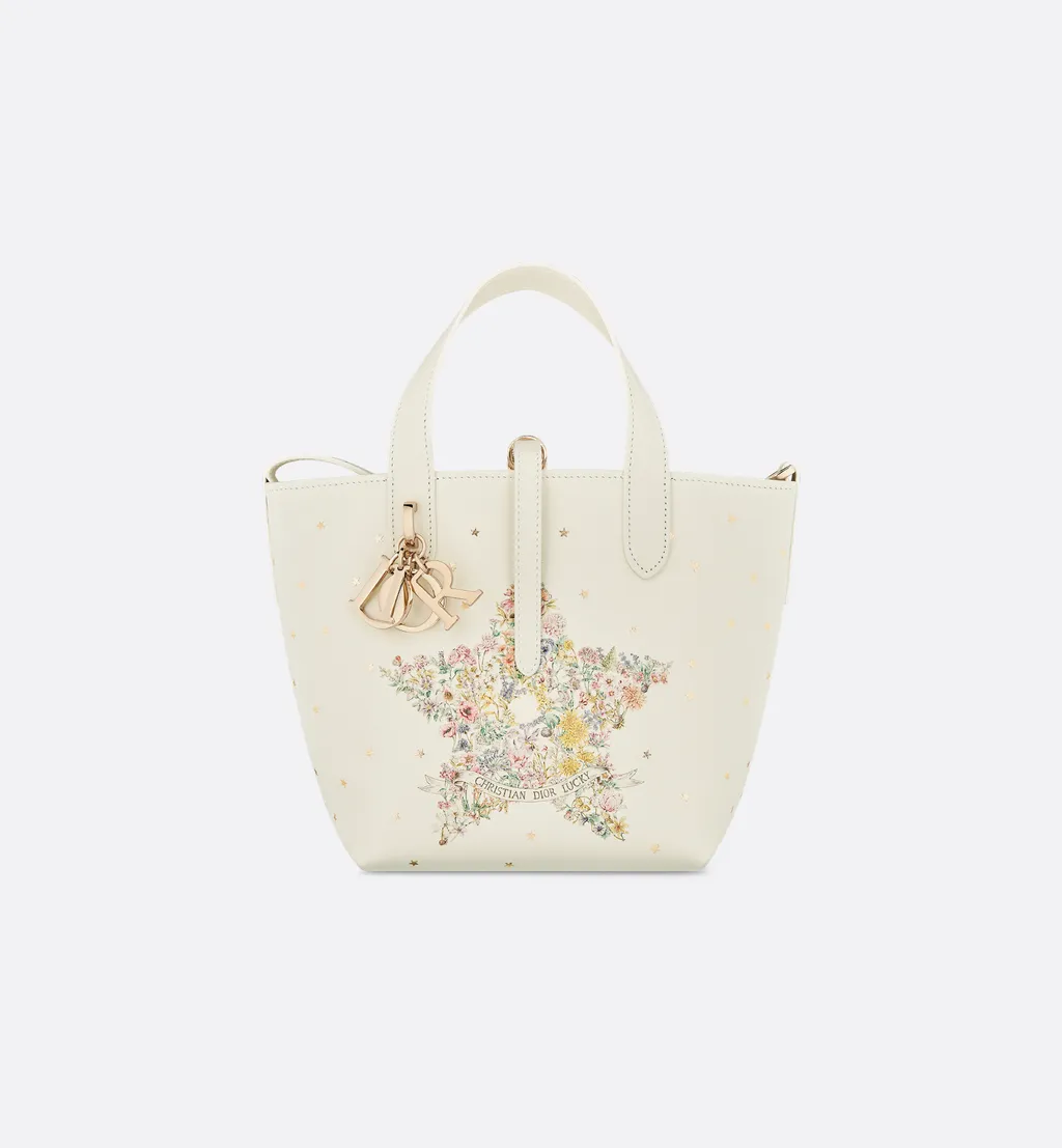 Dior Lucky Small Dior Toujours Vertical Tote Bag