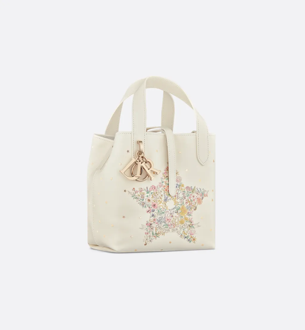 Dior Lucky Small Dior Toujours Vertical Tote Bag