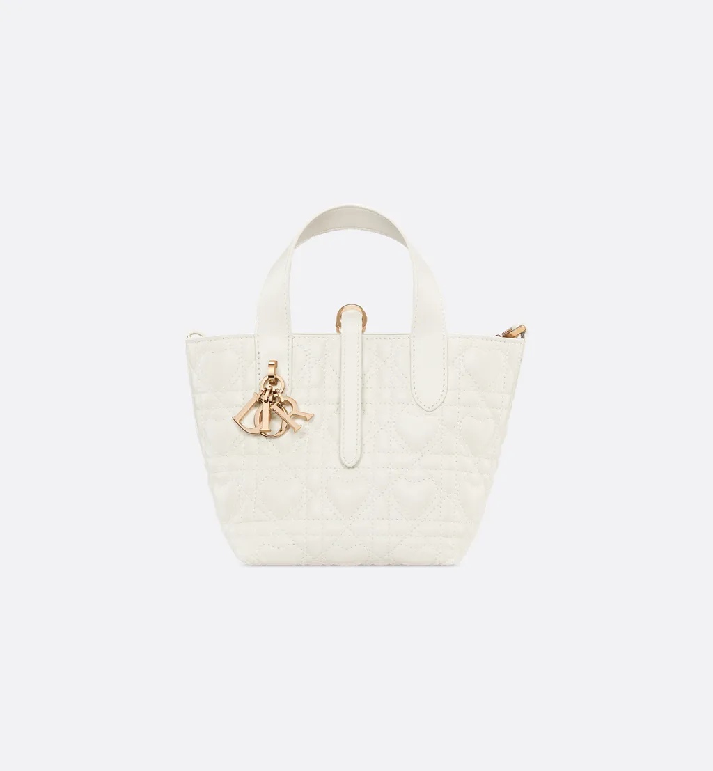 Dior Toujours Vertical Nano Tote Bag
