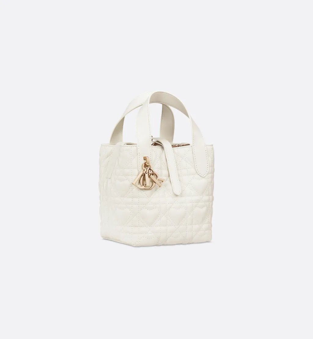 Dior Toujours Vertical Nano Tote Bag