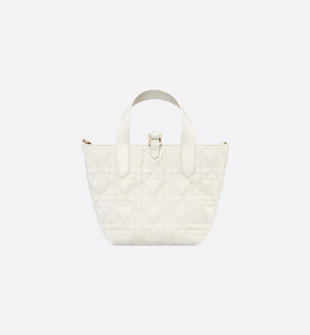 Dior Toujours Vertical Nano Tote Bag