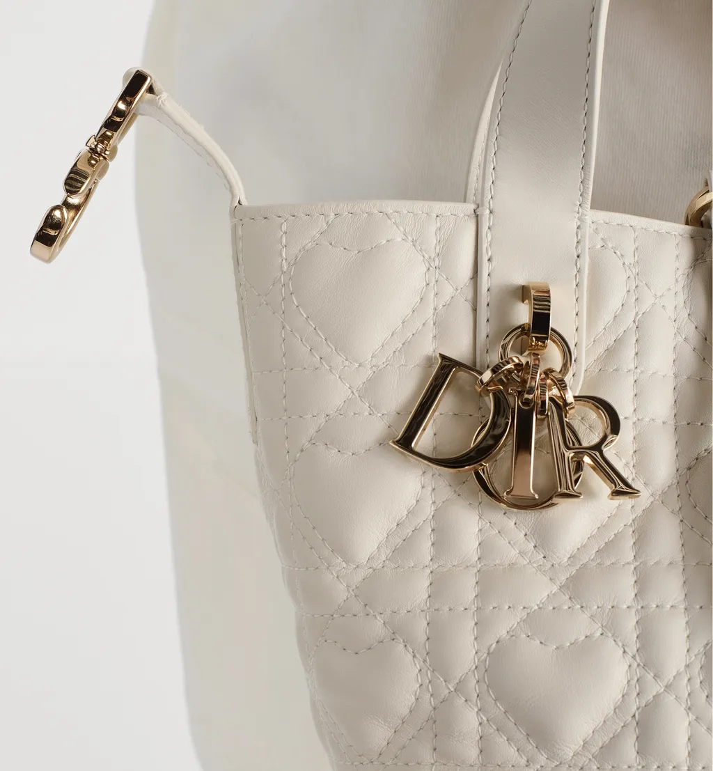 Dior Toujours Vertical Nano Tote Bag