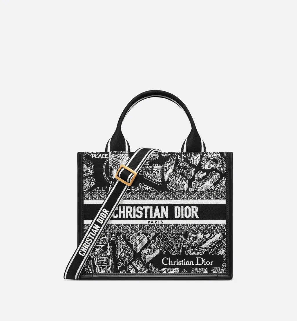 Small Dior Book Tote