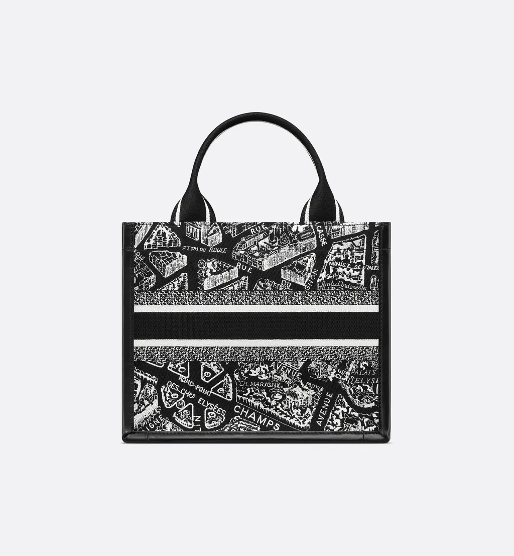 Small Dior Book Tote