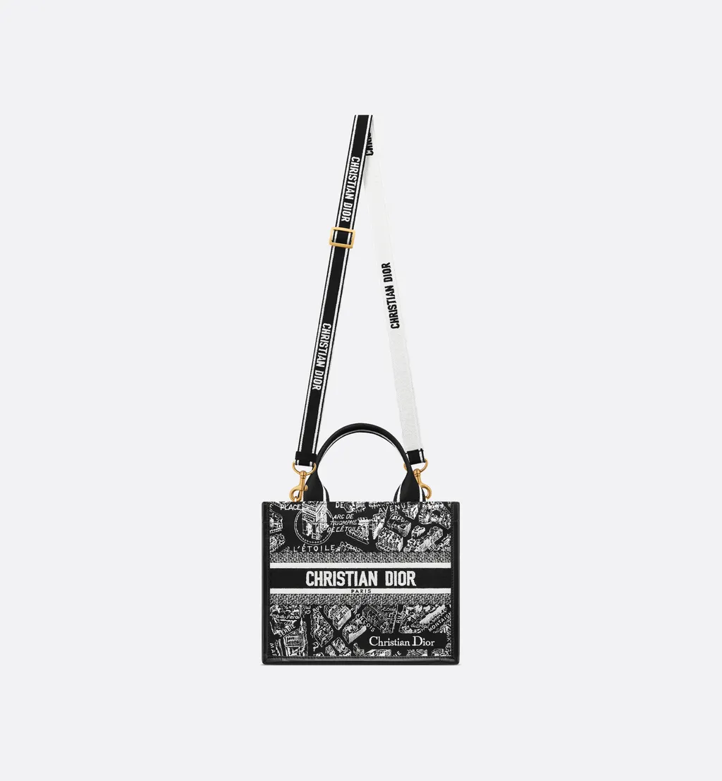 Small Dior Book Tote
