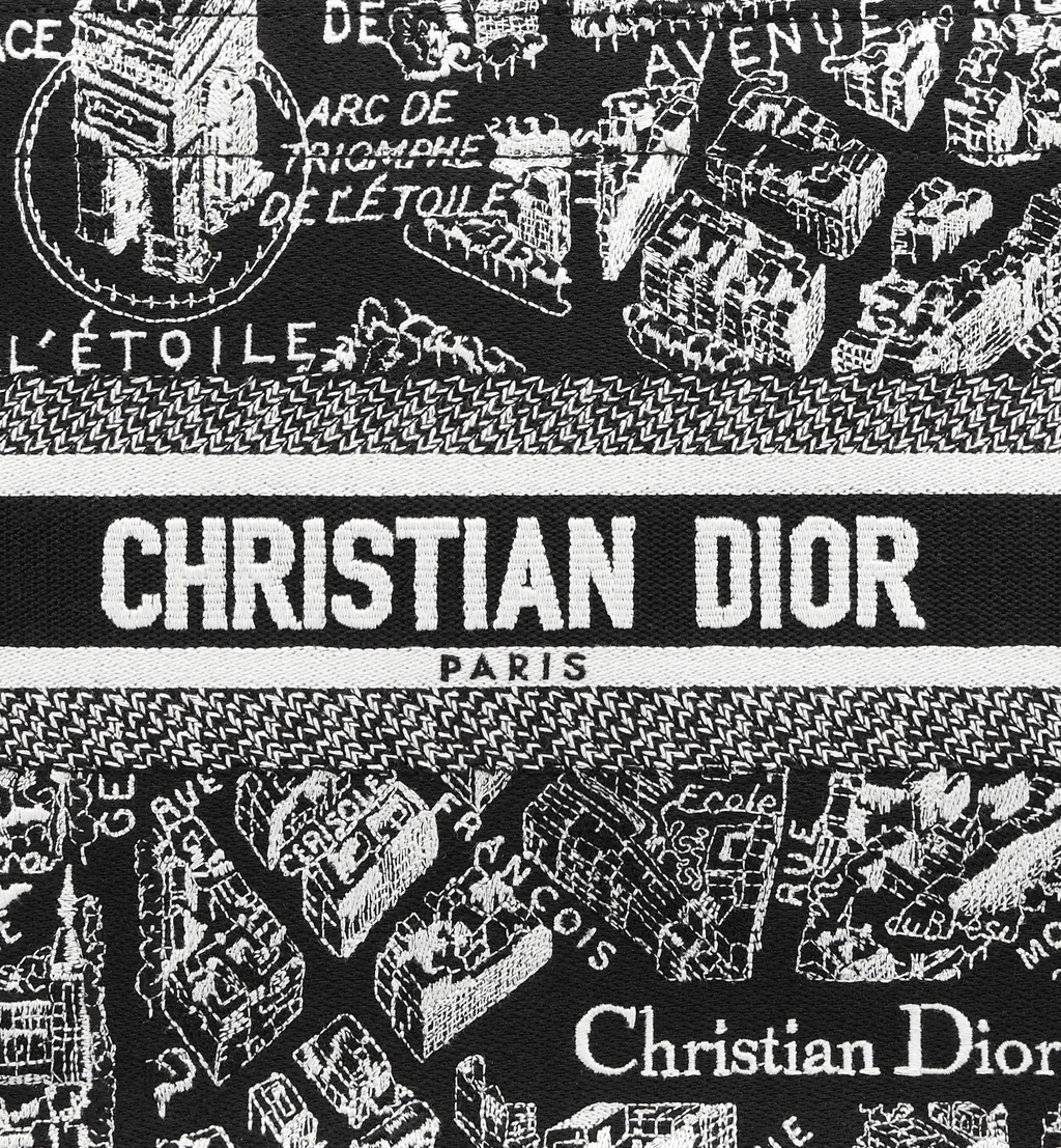 Small Dior Book Tote