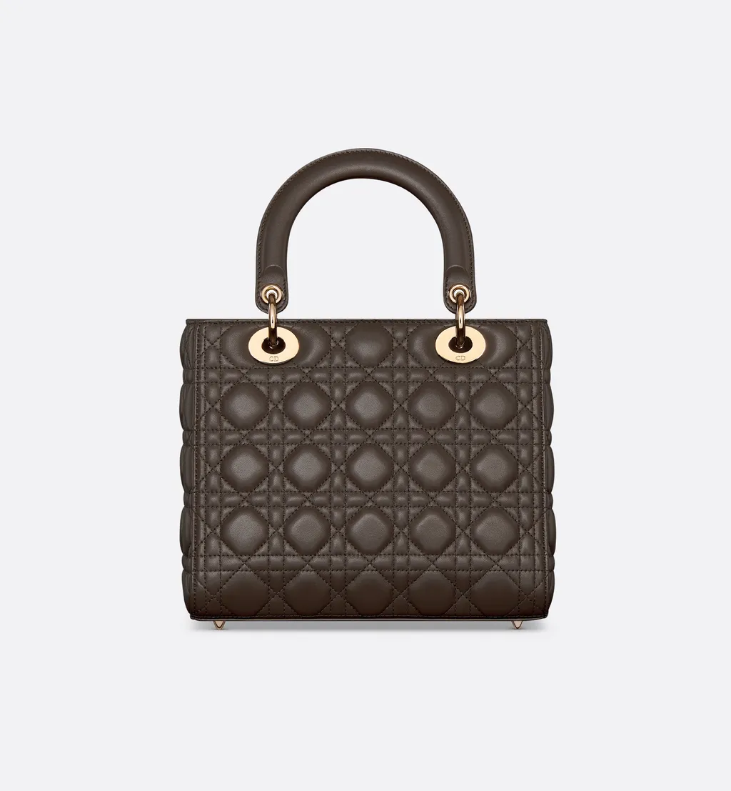 Medium Lady Dior Bag