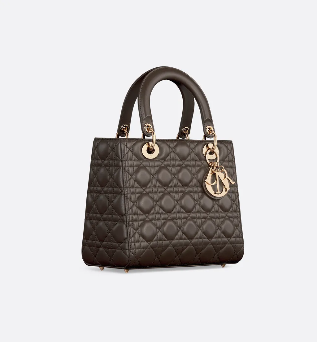 Medium Lady Dior Bag