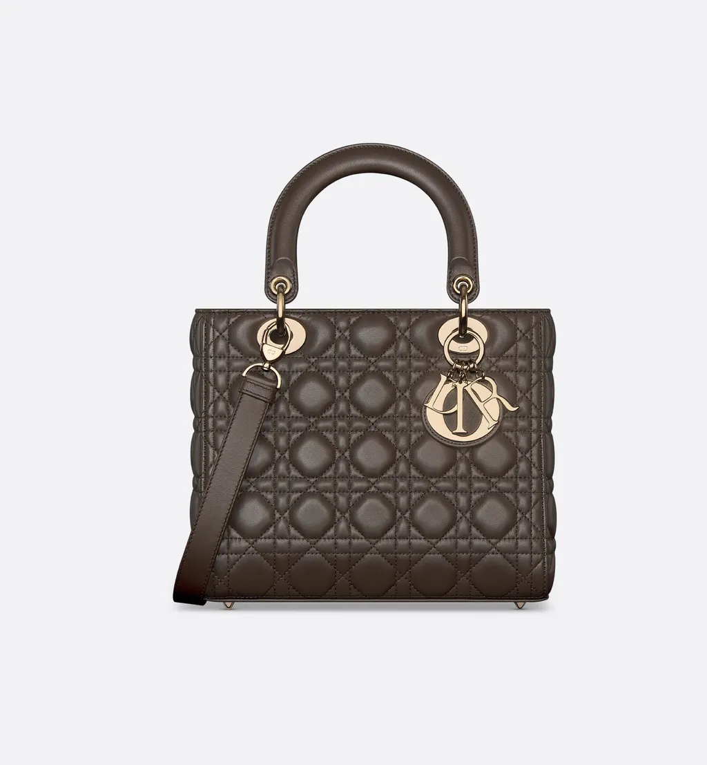 Medium Lady Dior Bag