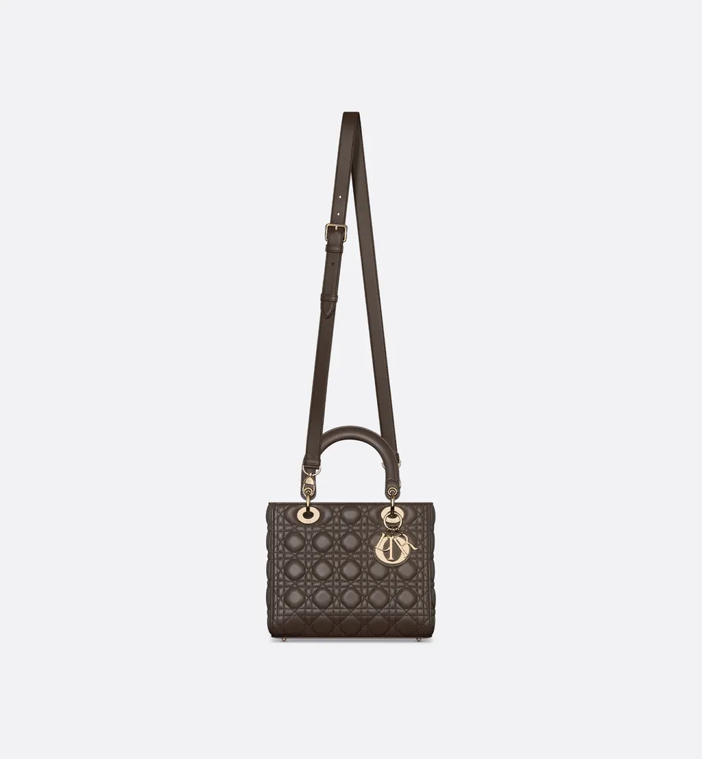 Medium Lady Dior Bag