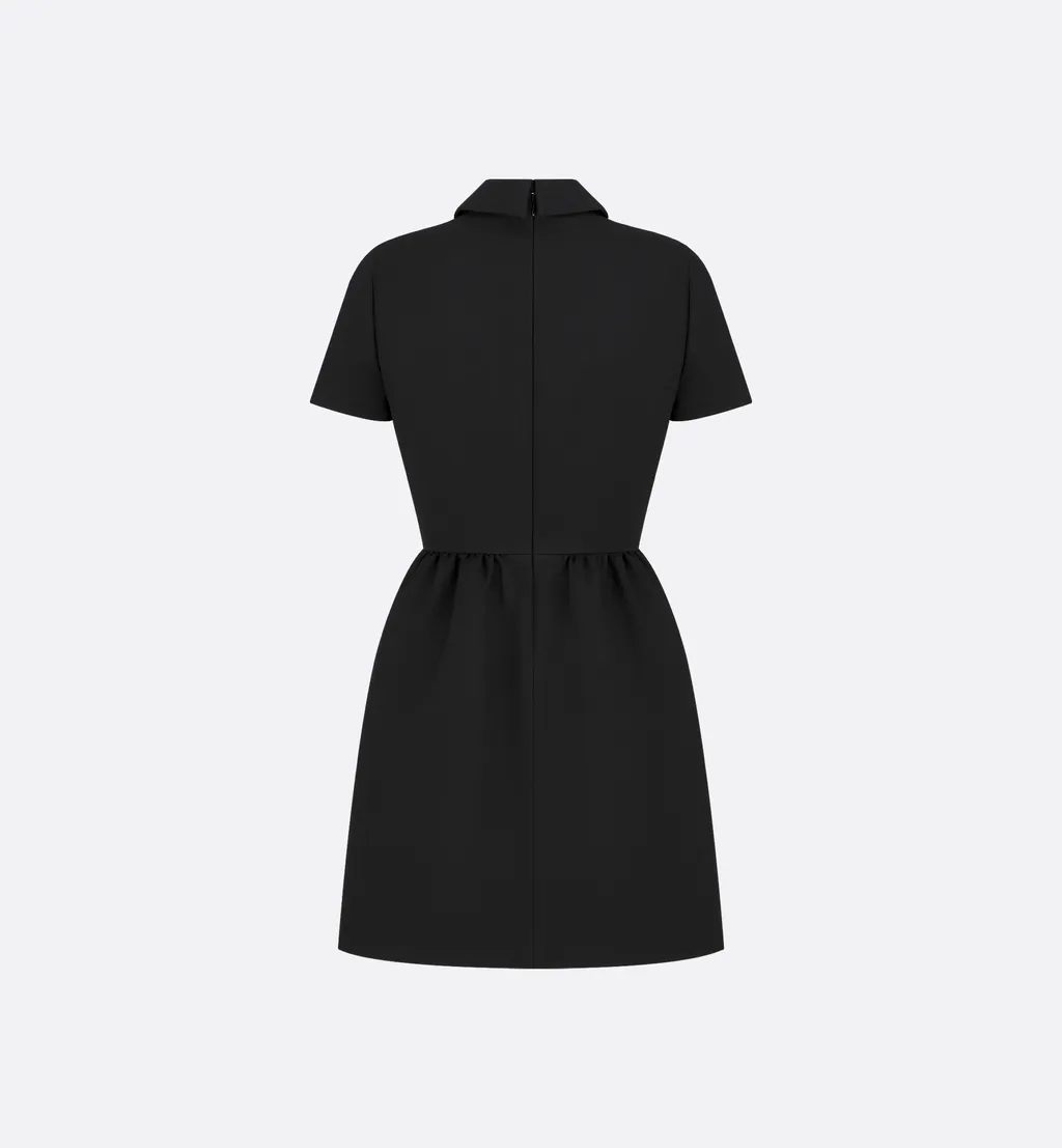 Fitted Dress With Cd Buttons