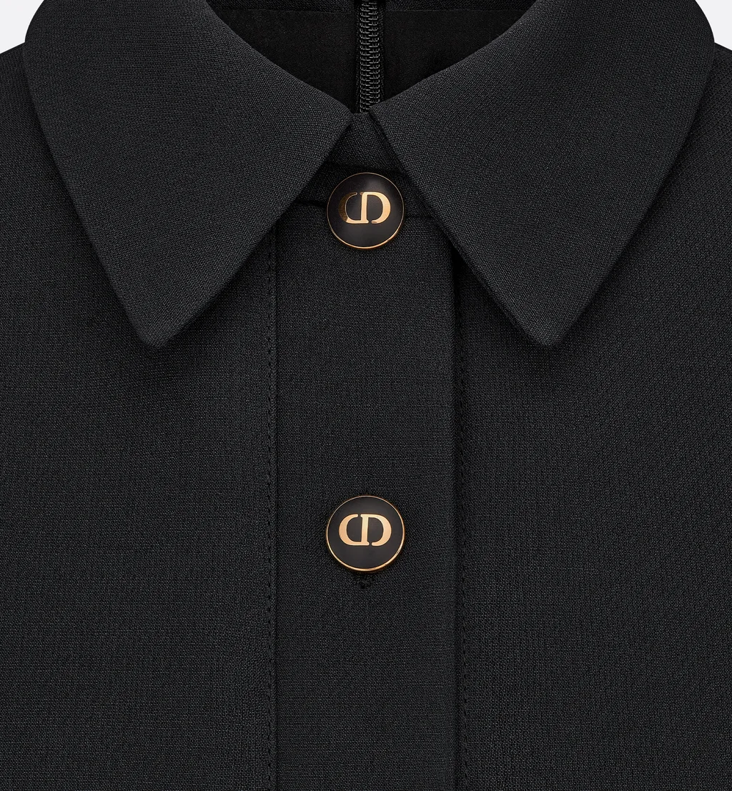 Fitted Dress With Cd Buttons