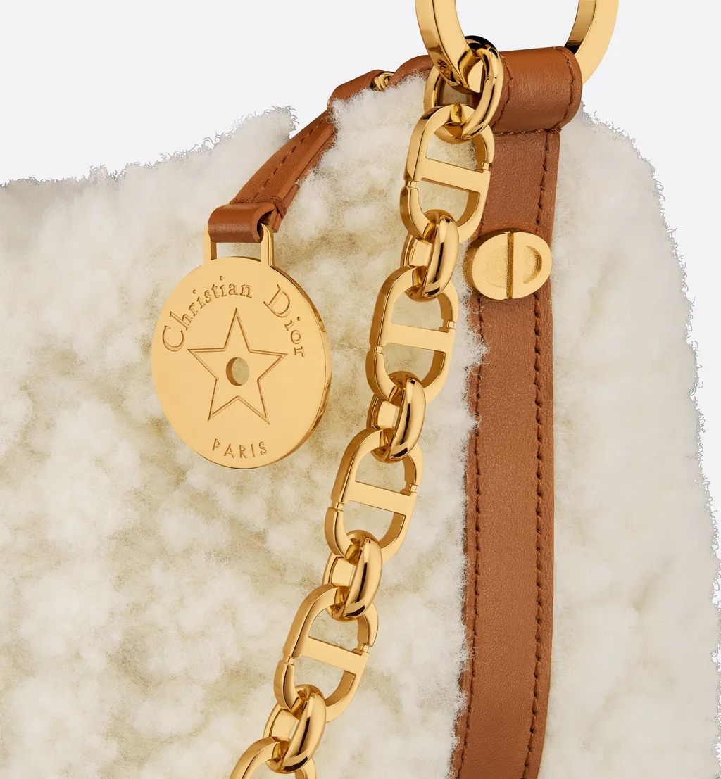 Diorstar Hobo Bag With Chain