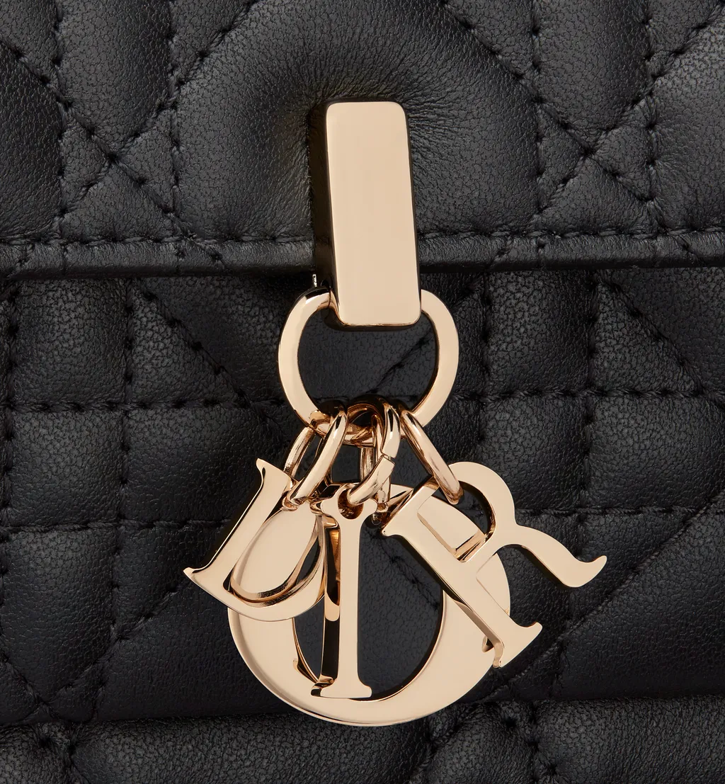 My Dior Daily Pouch With Chain