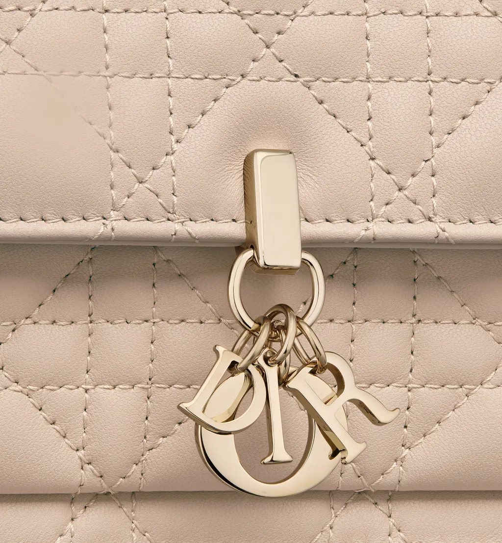 My Dior Daily Pouch With Chain