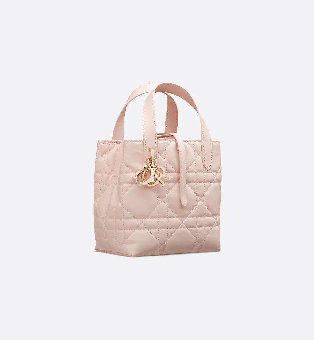 Small Dior Toujours Vertical Tote Bag