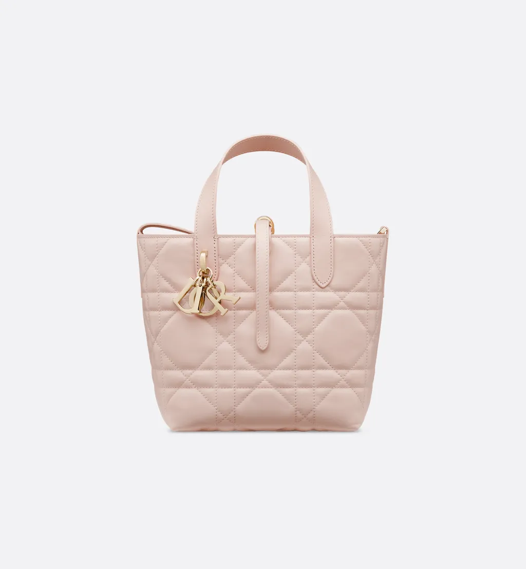 Small Dior Toujours Vertical Tote Bag