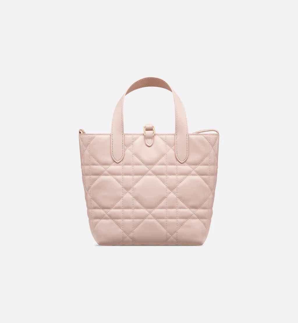 Small Dior Toujours Vertical Tote Bag