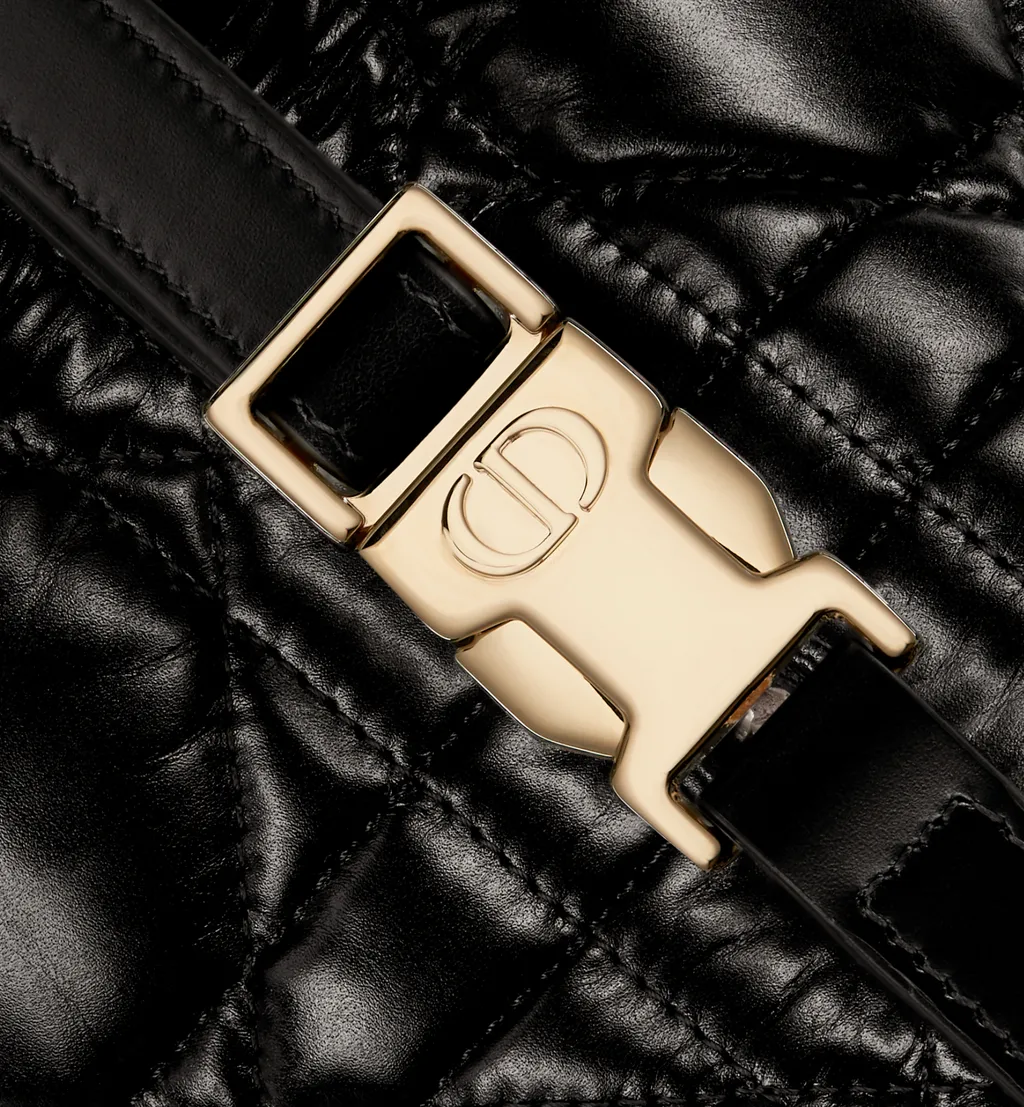 Medium Diortravel Nomad Pouch