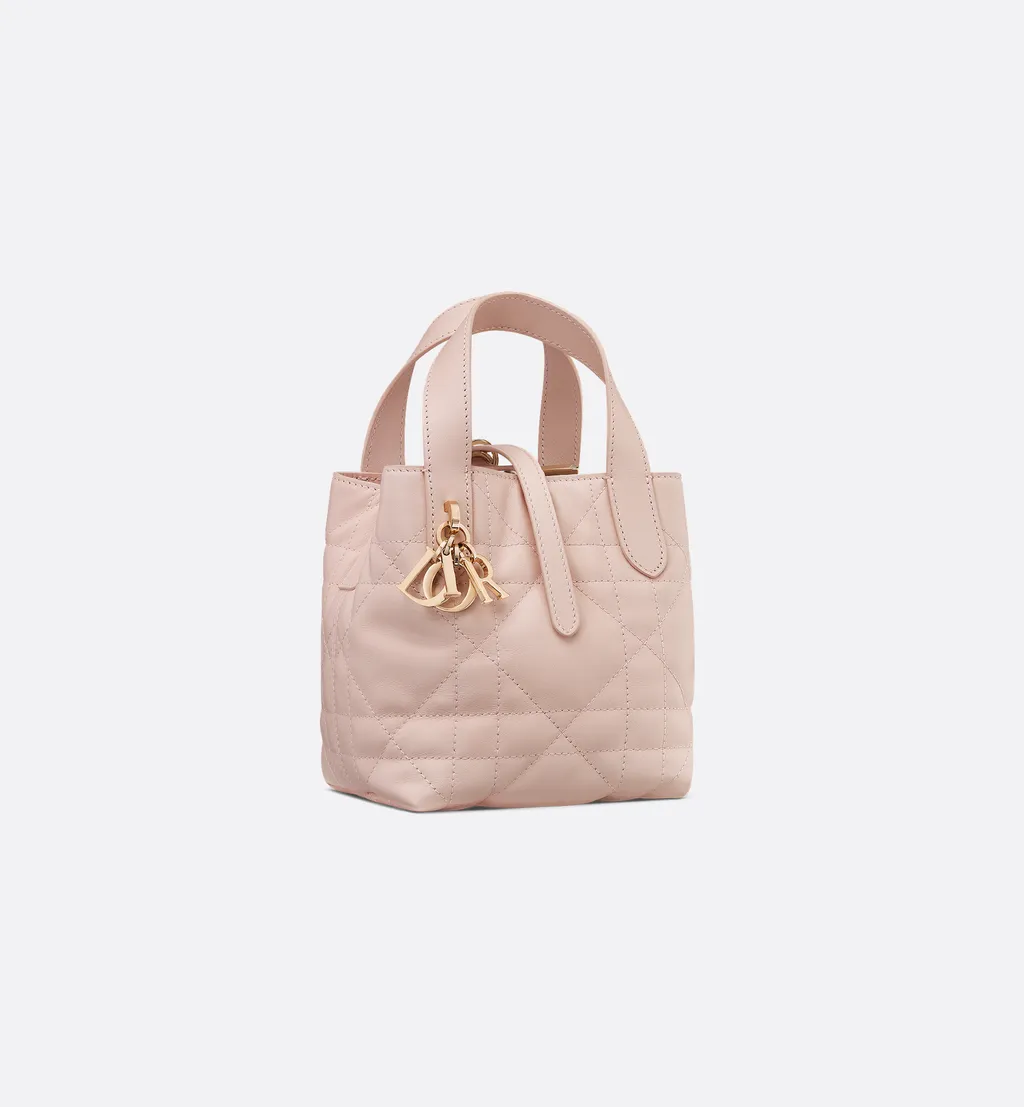 Dior Toujours Vertical Nano Tote Bag