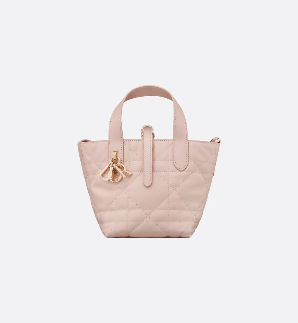 Dior Toujours Vertical Nano Tote Bag