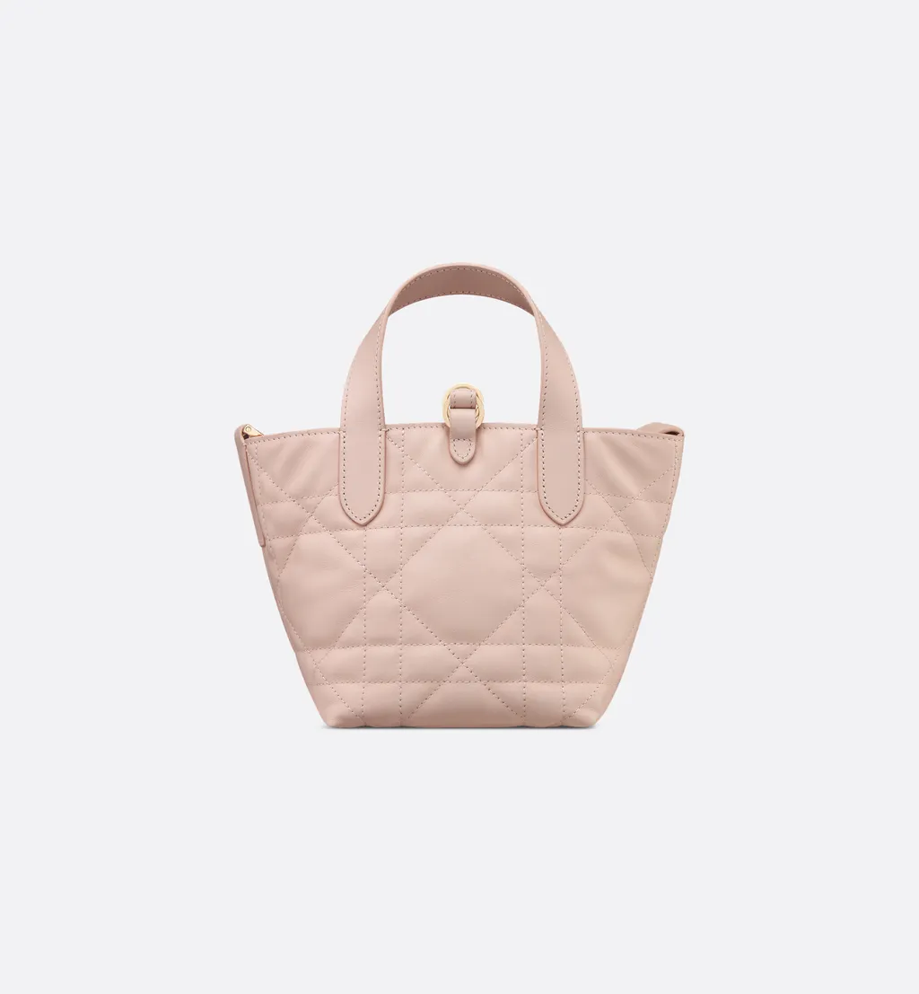Dior Toujours Vertical Nano Tote Bag