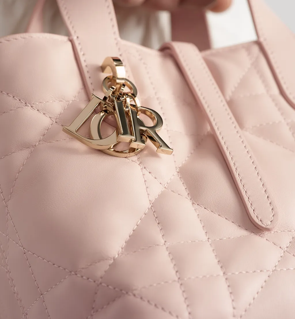 Dior Toujours Vertical Nano Tote Bag