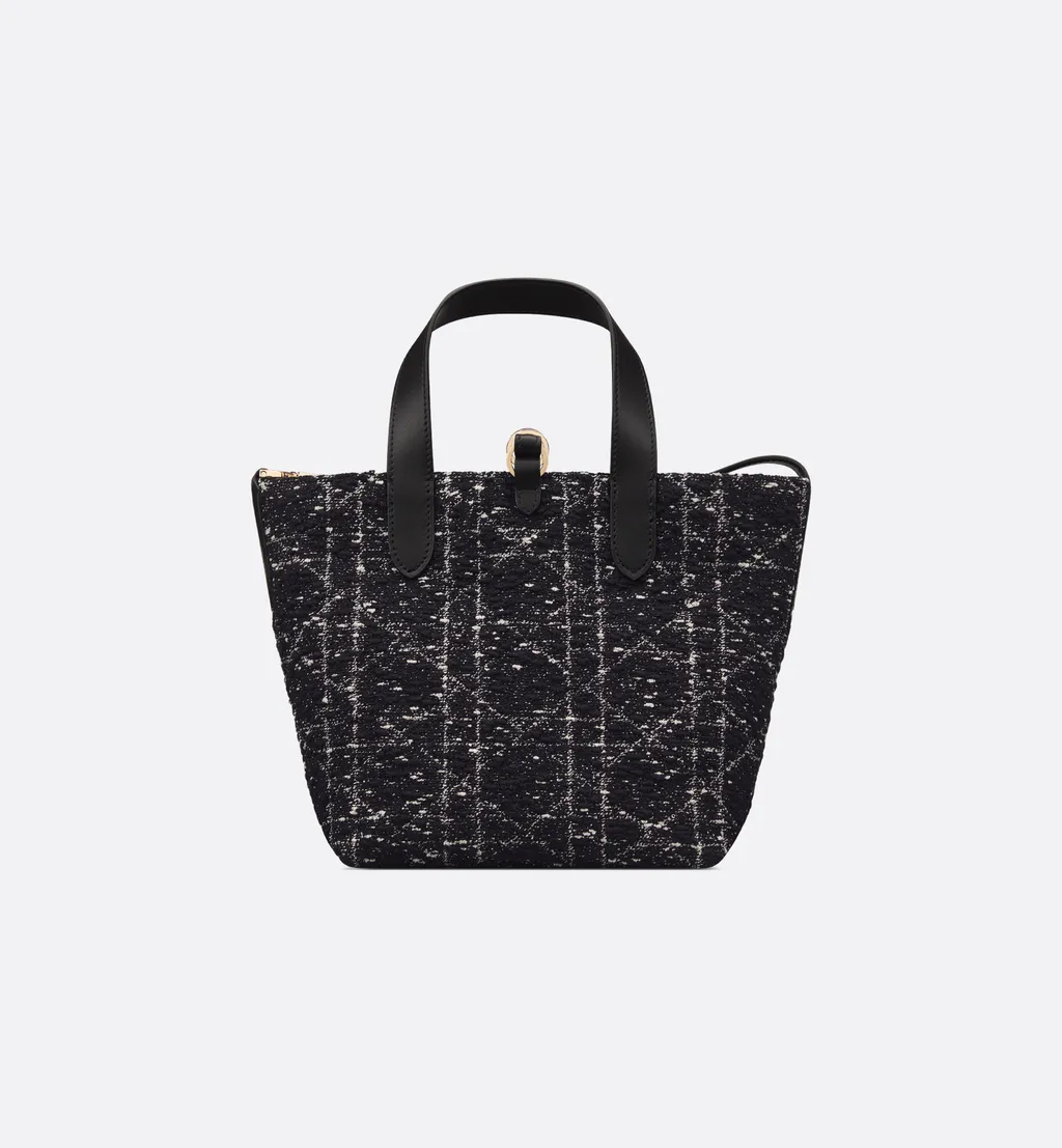 Small Dior Toujours Vertical Tote Bag