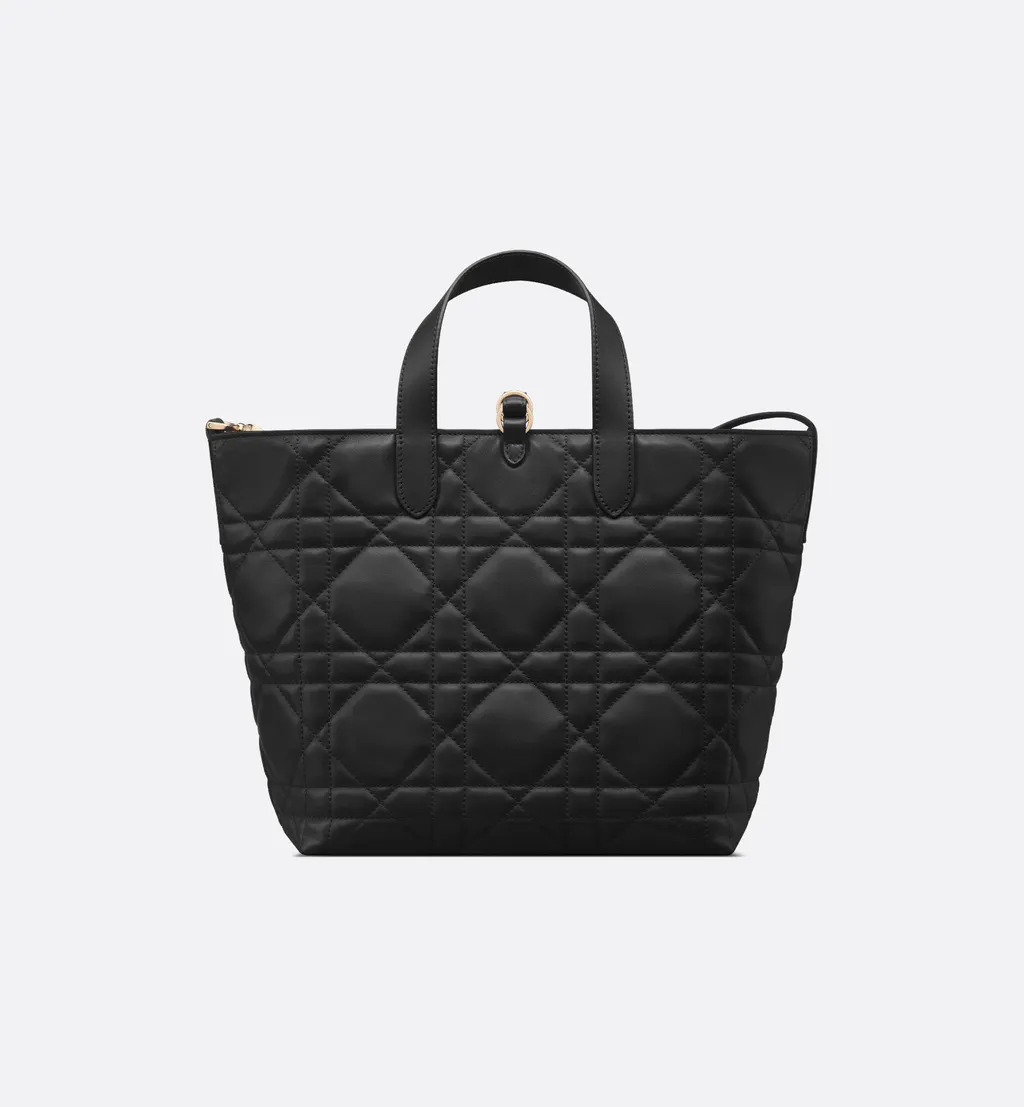 Medium Dior Toujours Vertical Tote Bag