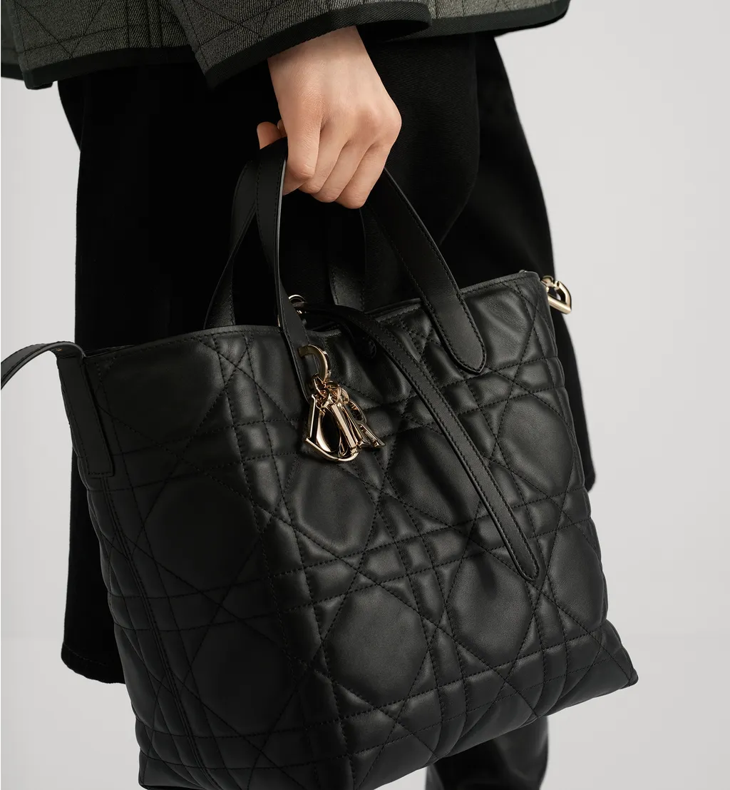 Medium Dior Toujours Vertical Tote Bag