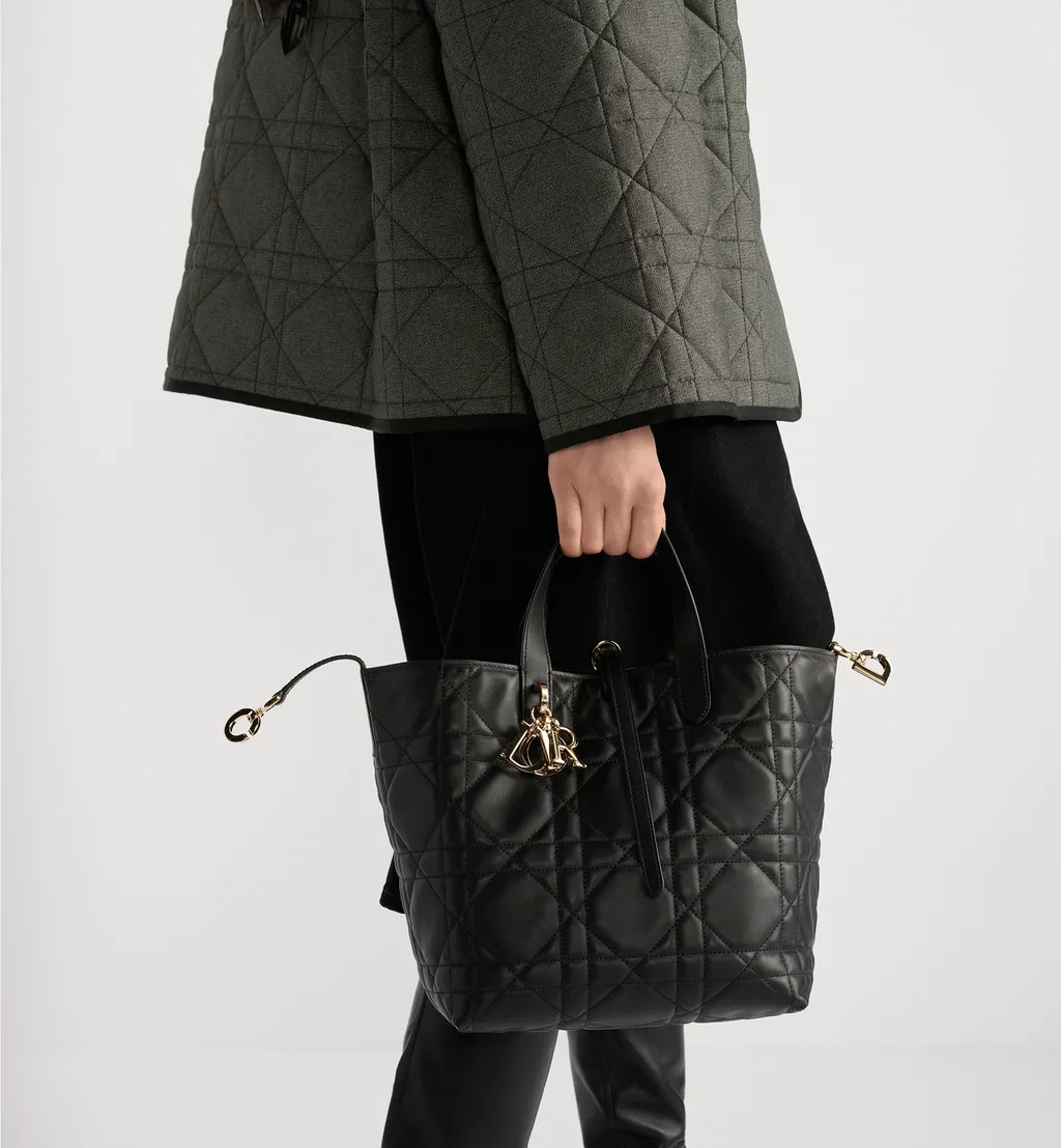 Medium Dior Toujours Vertical Tote Bag