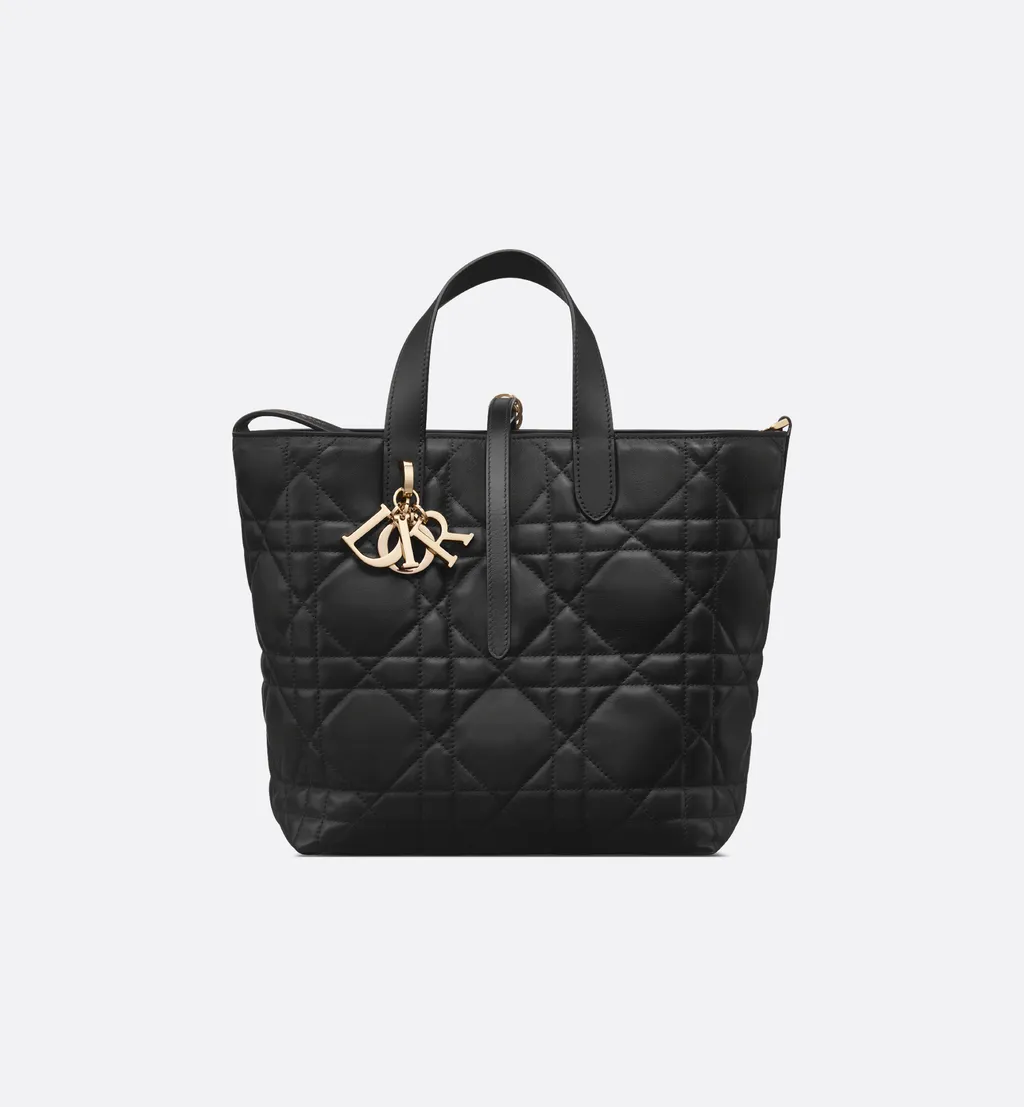 Medium Dior Toujours Vertical Tote Bag