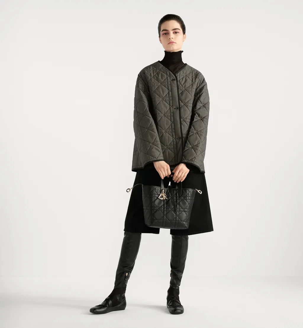 Medium Dior Toujours Vertical Tote Bag