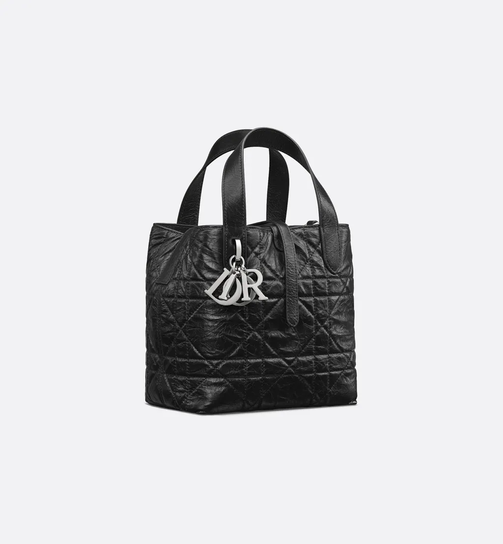 Small Dior Toujours Vertical Tote Bag