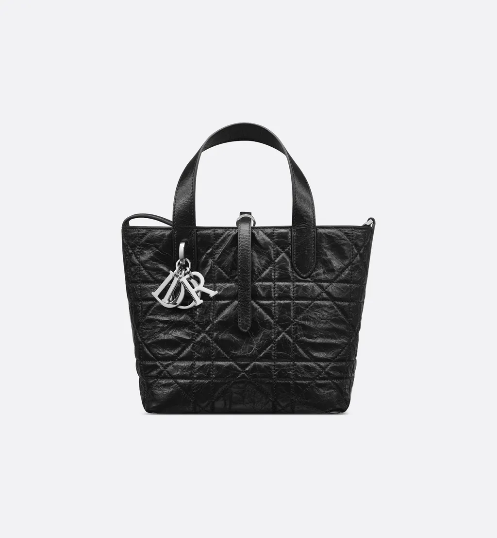 Small Dior Toujours Vertical Tote Bag