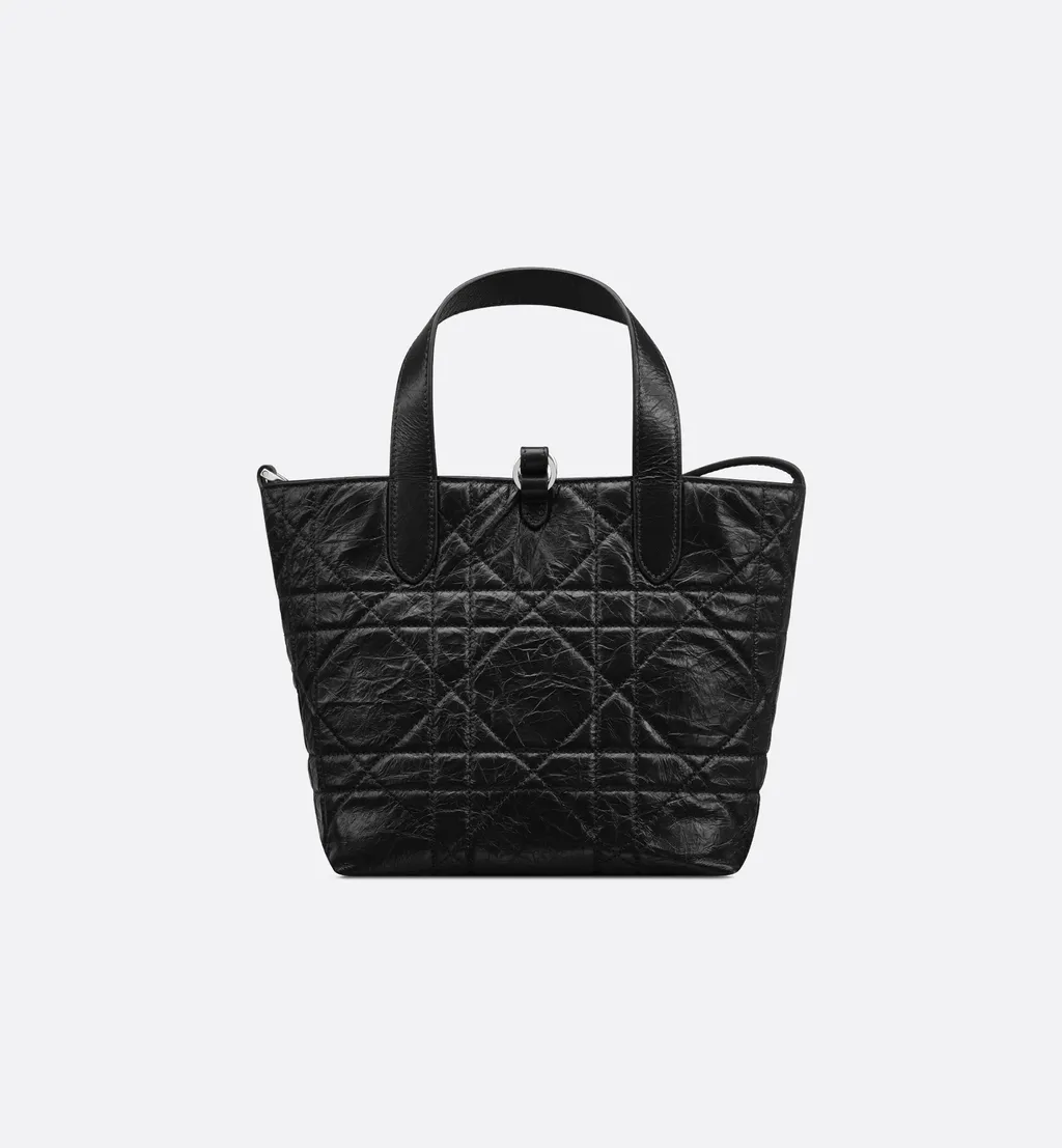 Small Dior Toujours Vertical Tote Bag