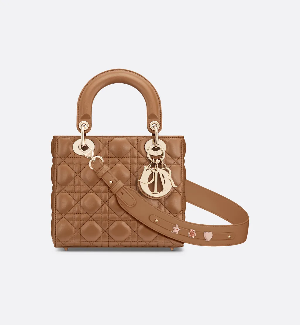 Small Lady Dior My Abcdior Bag